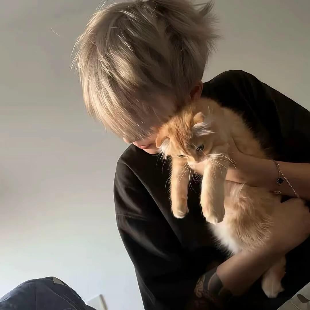 秋刀了鱼