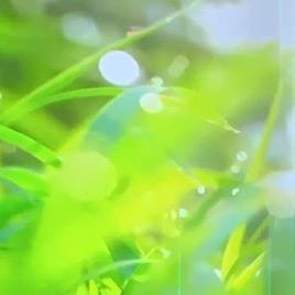 在水一方