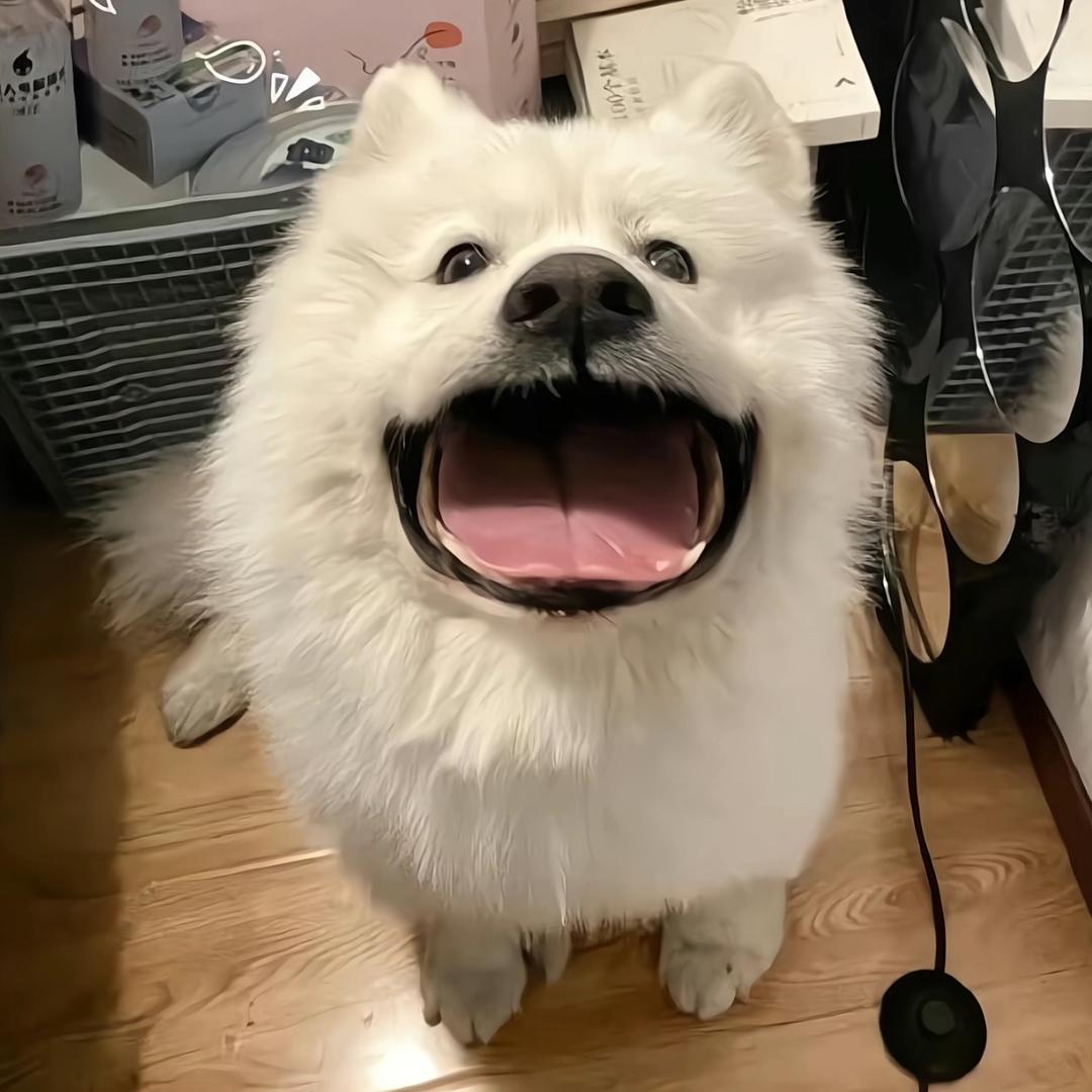 男孩✅