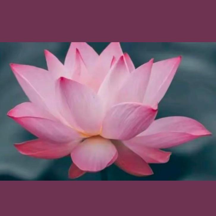 静心（明心见性）