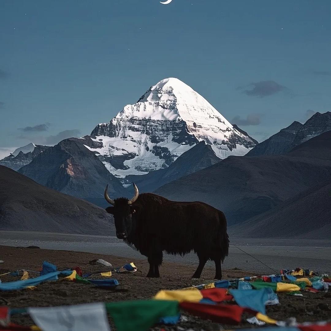 西藏特产臻选小铺