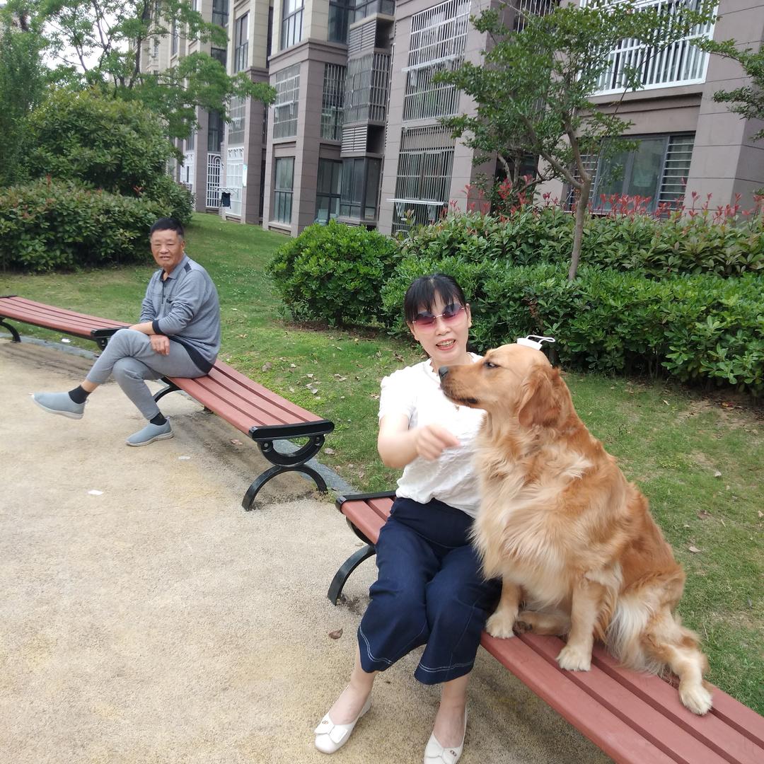 悦诗风吟