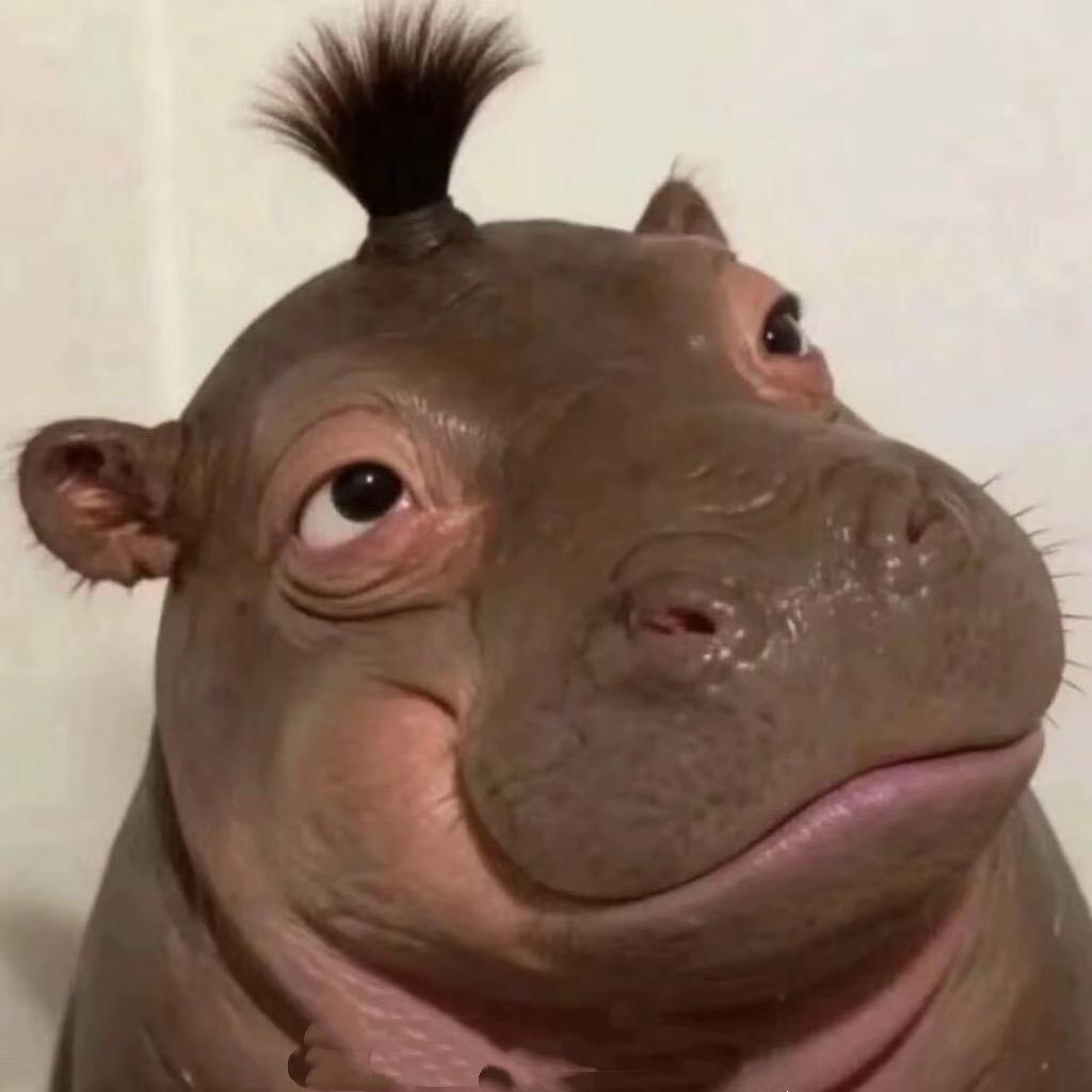 AAA猪饲料批发赵姐