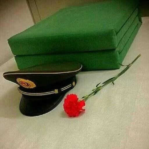 杨聪