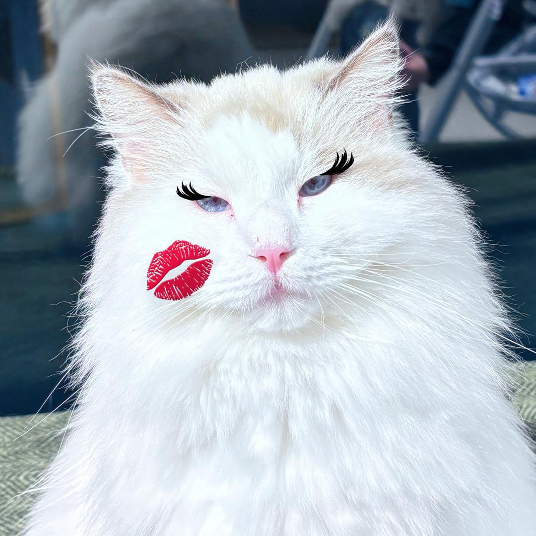 蹦蹦