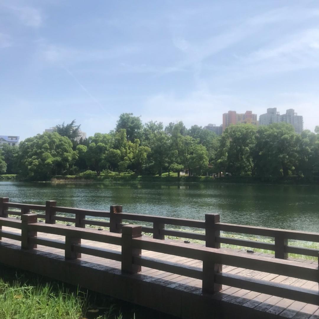 明礼大师