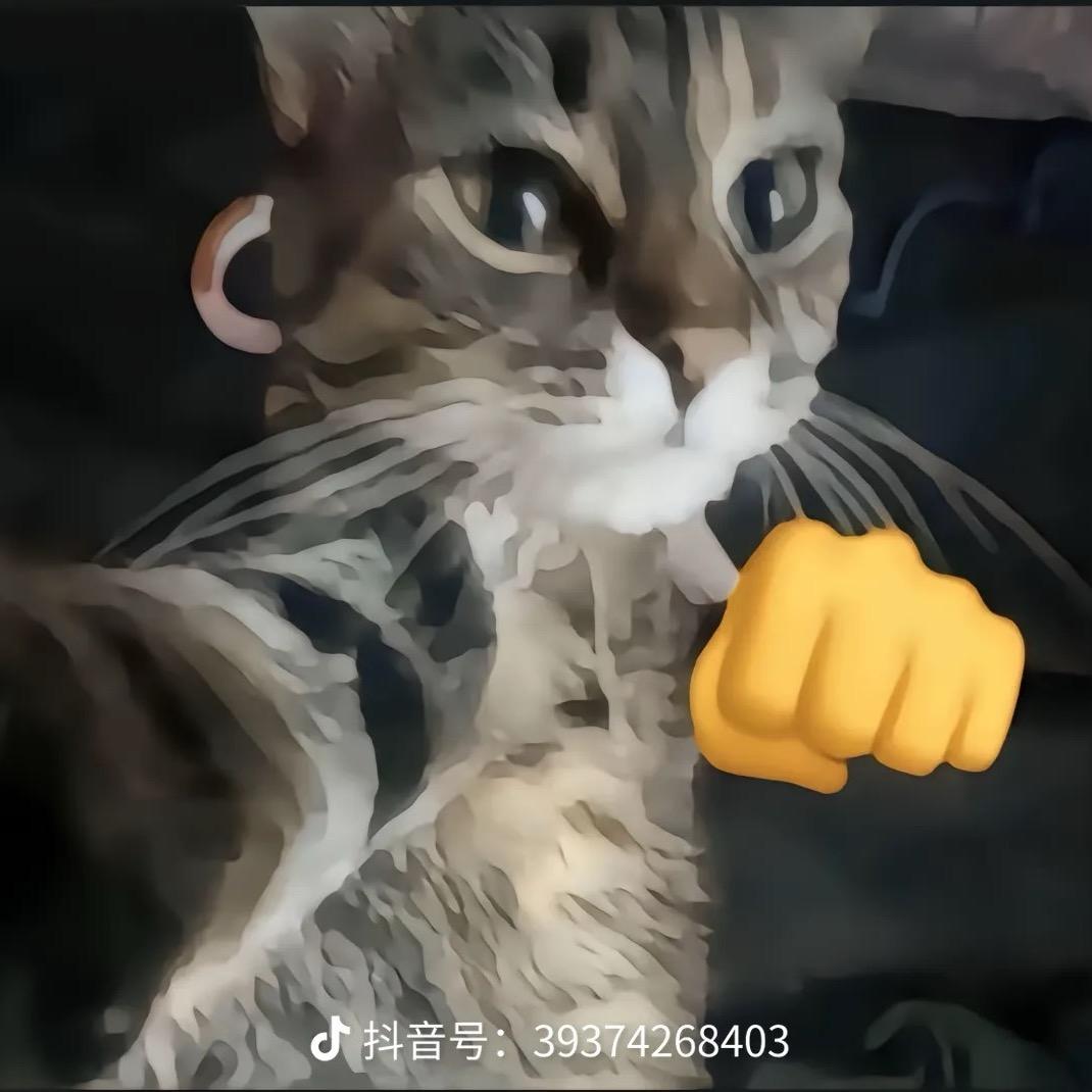 我女神是炒敏饭