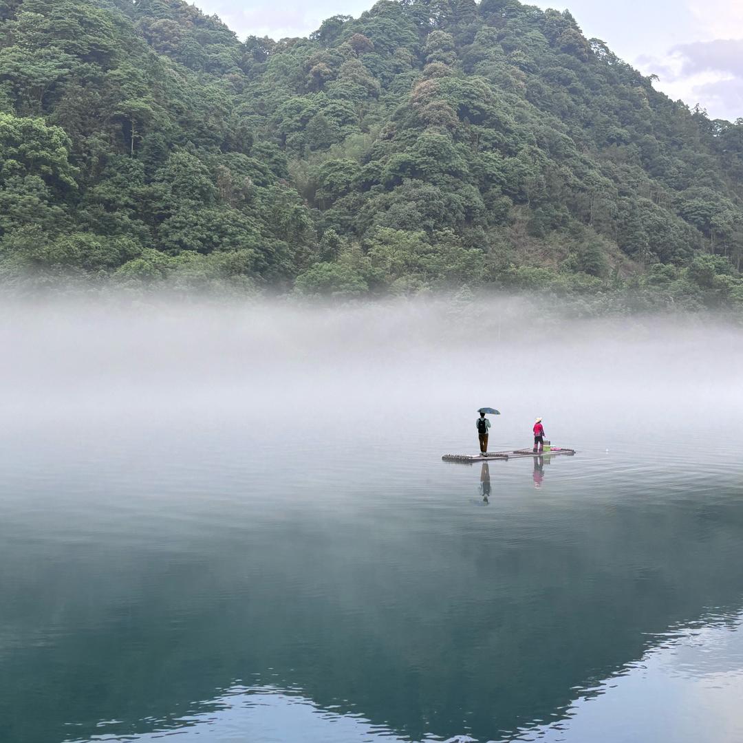 泽均哥