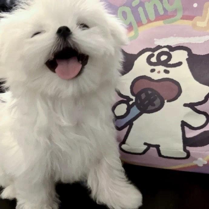 嘟嘟噜
