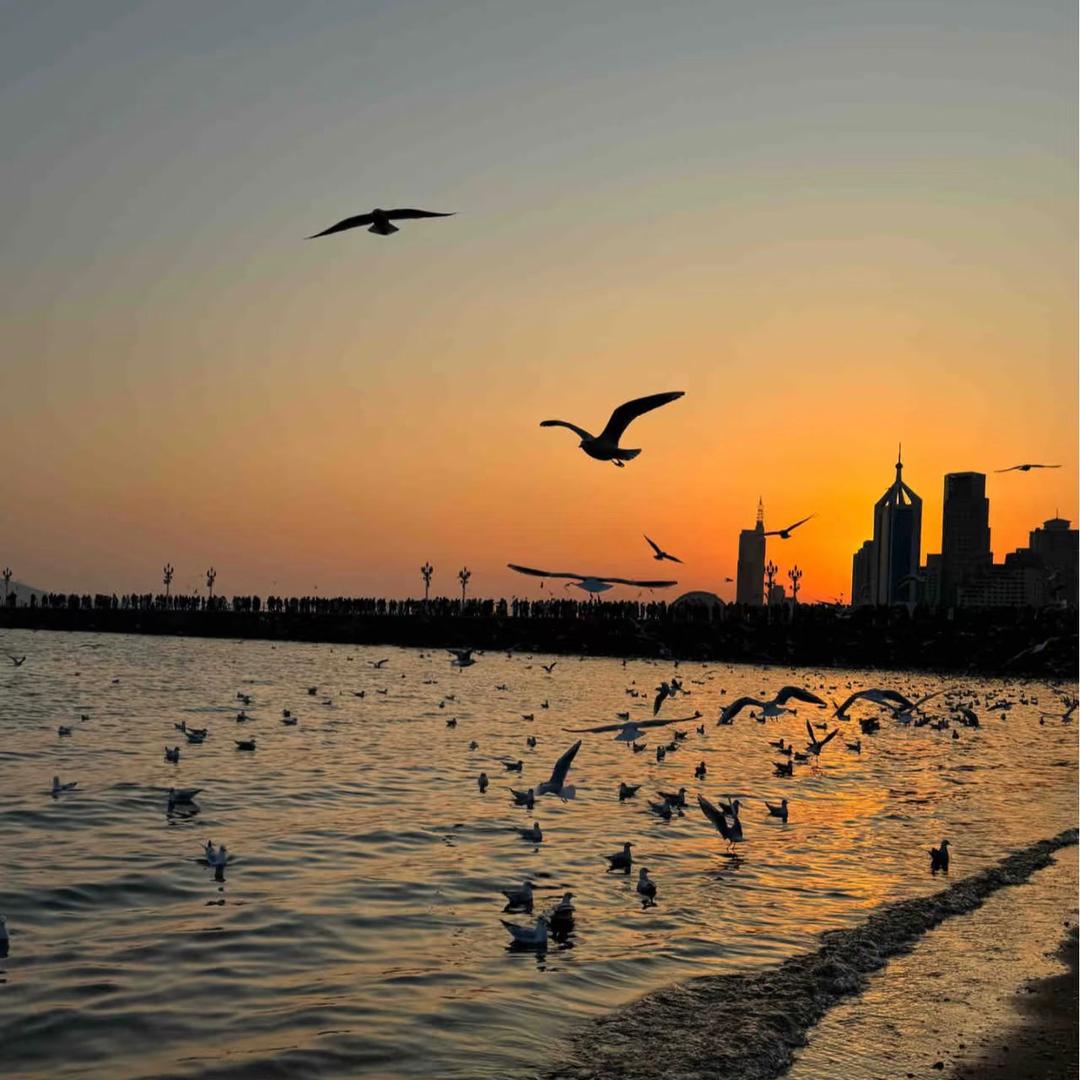 哞嘶（小学老师上班篇）