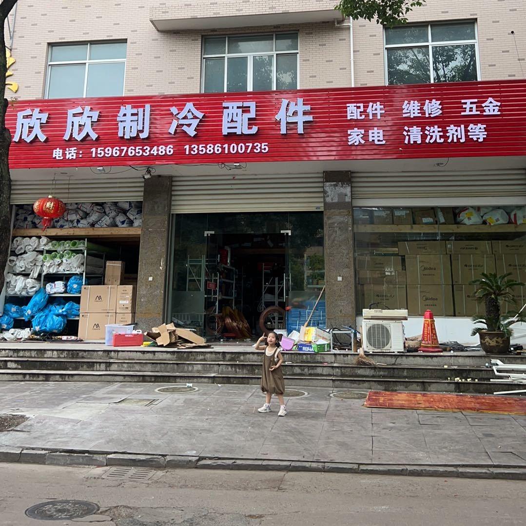 制冷波哥