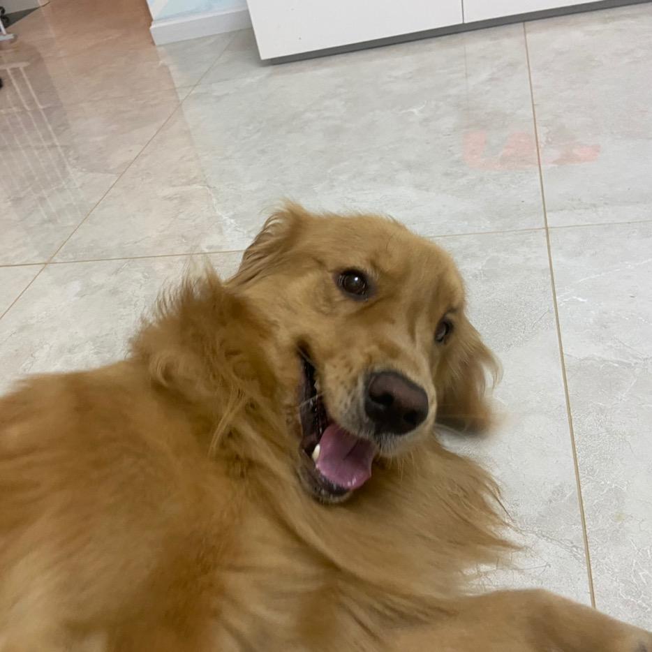 糖果🍬和果冻🐈