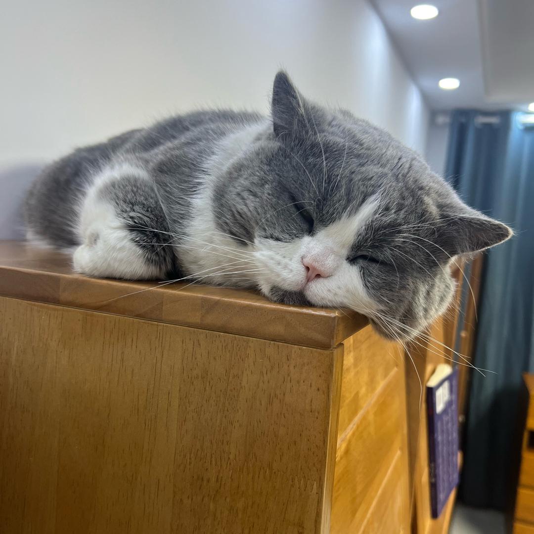 简简单单的生活