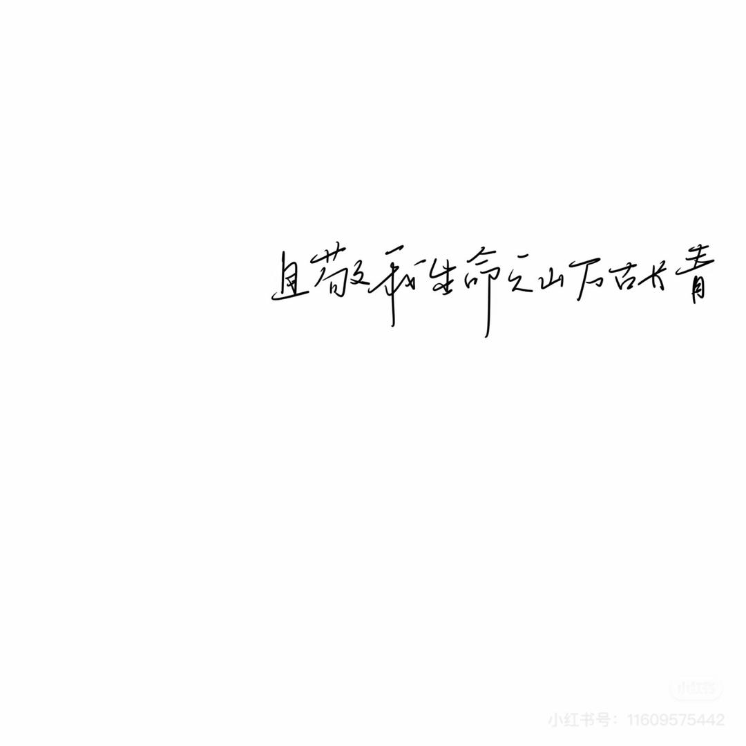 姜乐乐