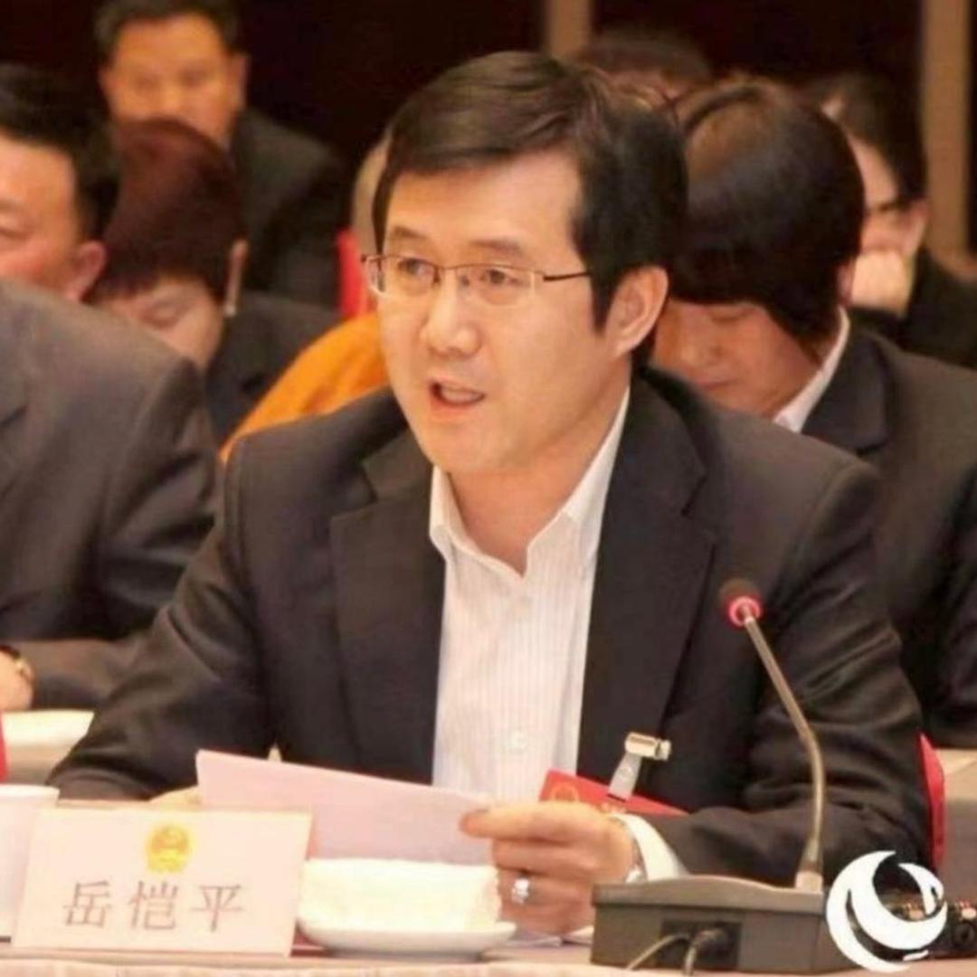 老岳【長安客】国宴白酒