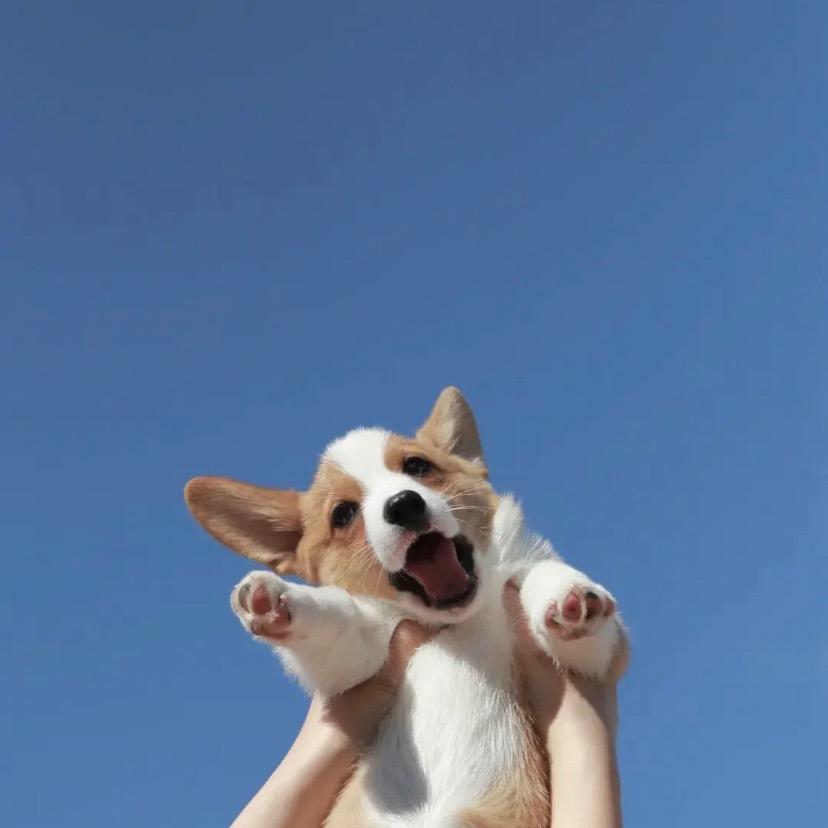 西年