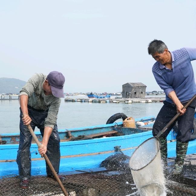 鲜生应季