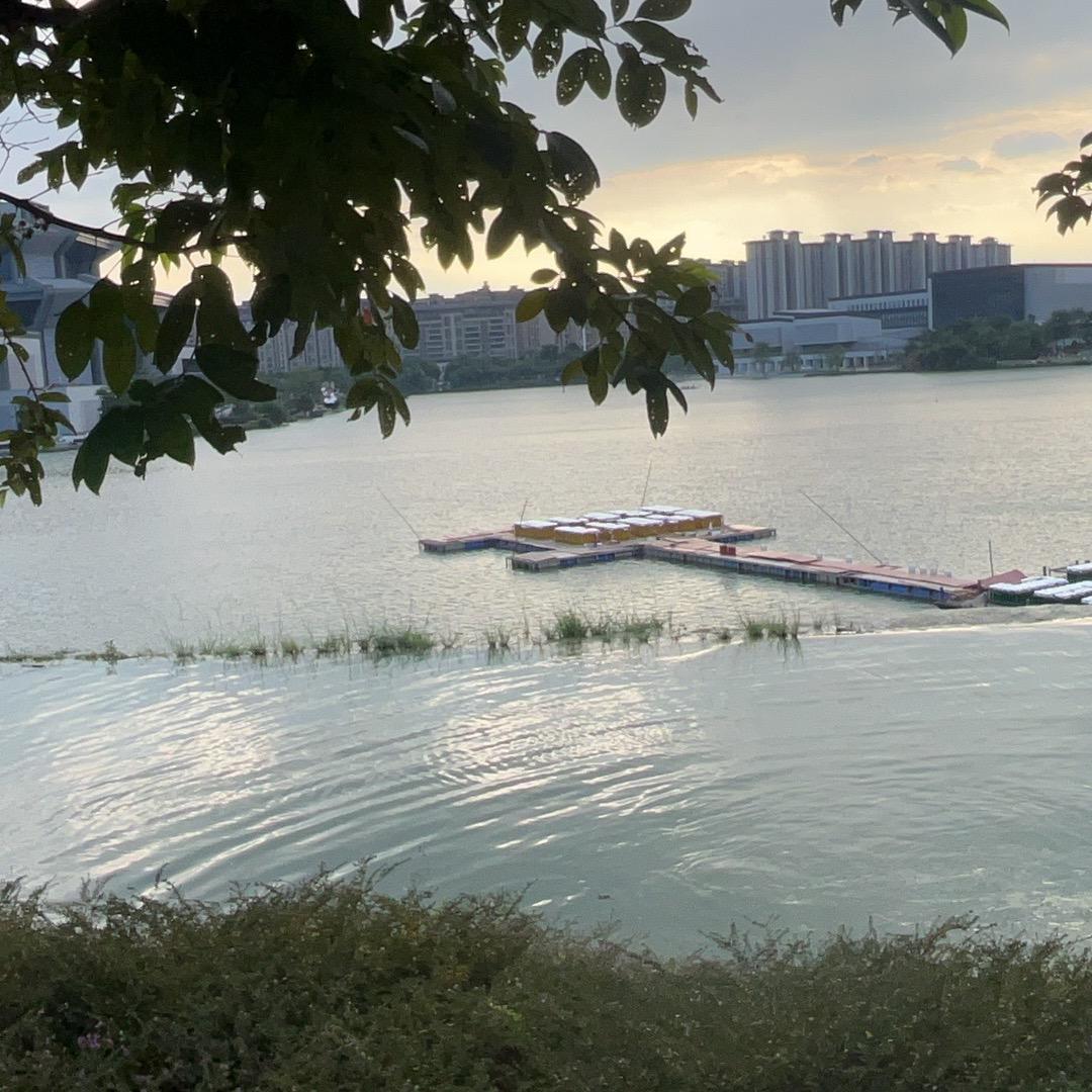 未来不是梦