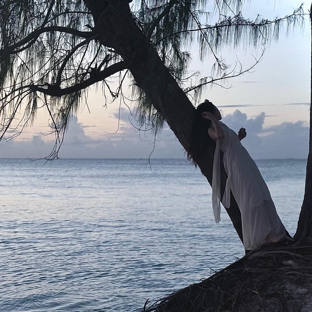 杭杭呀