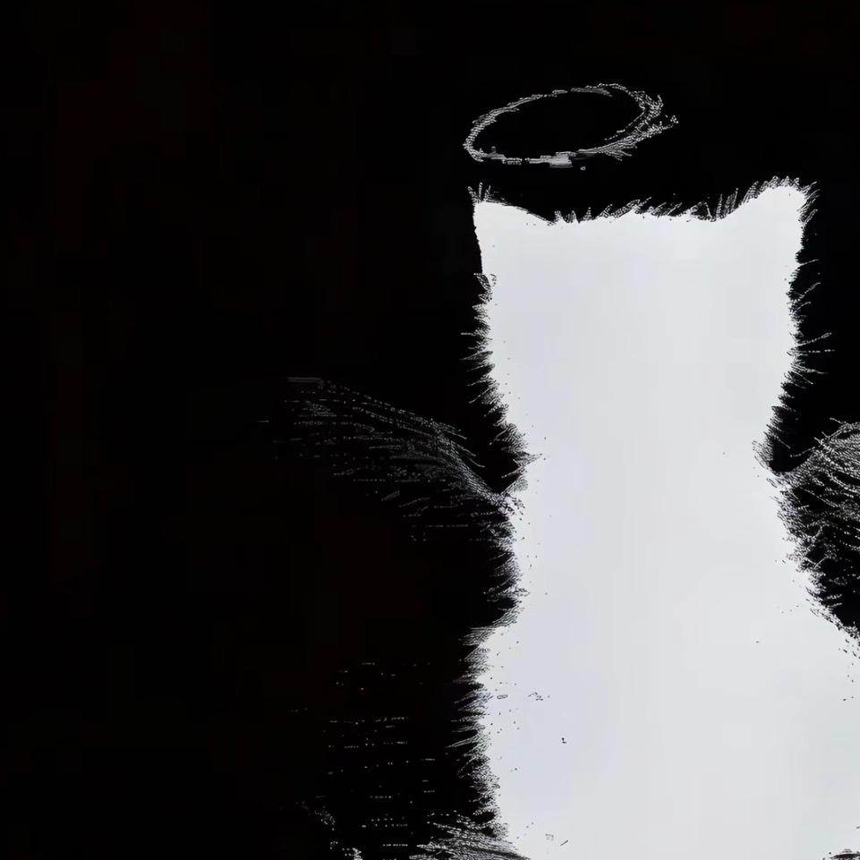 扣扣-YH