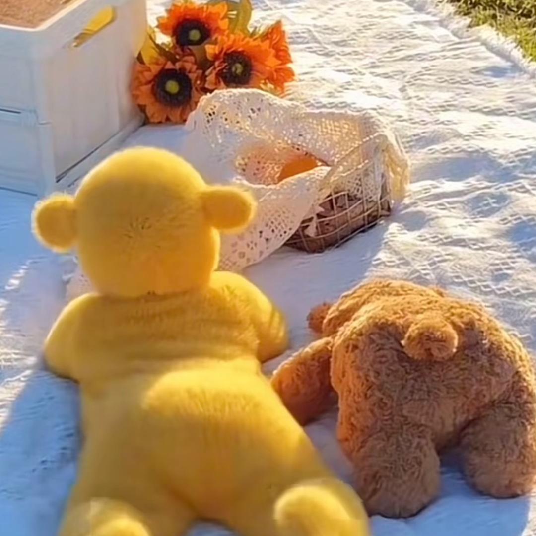 和流氓兔🤓一起耍流氓🤪