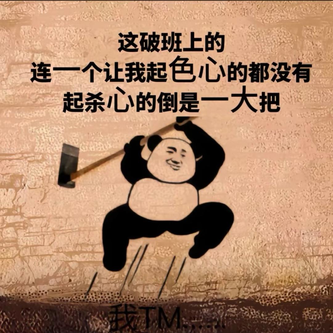 六六✨