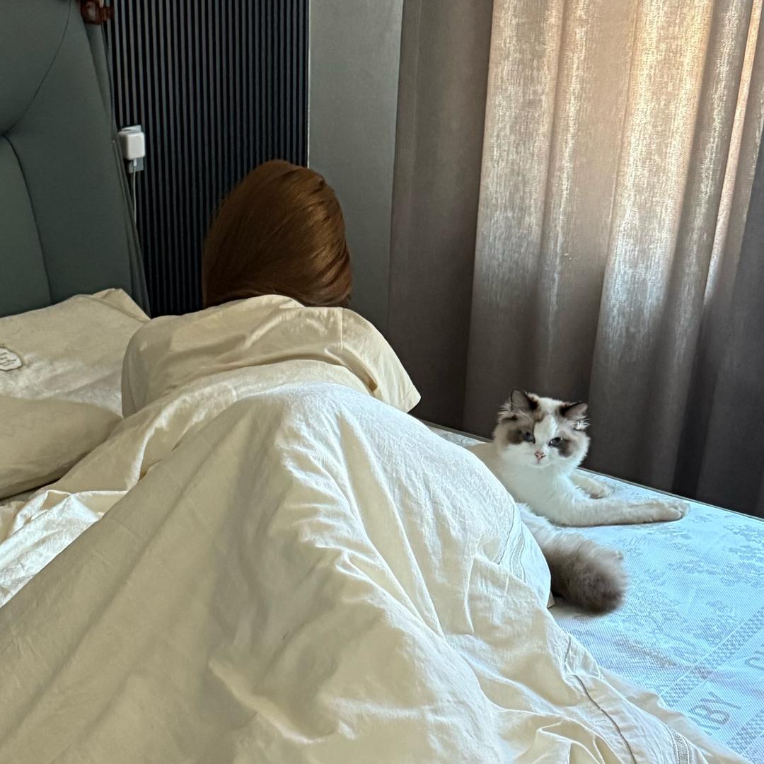 孙小小小蕊> 𐋣 <