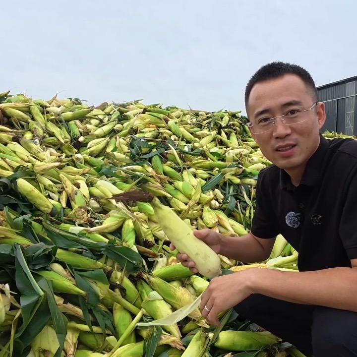 启汇糯玉米严选店