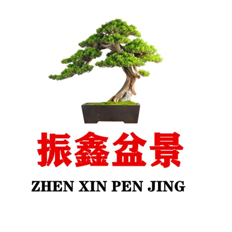 振鑫盆景