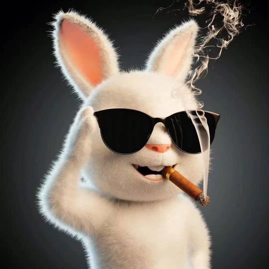 北半球