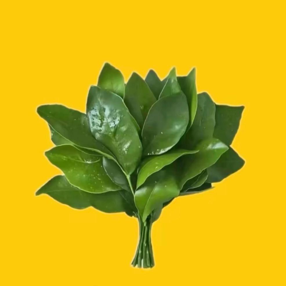 修.