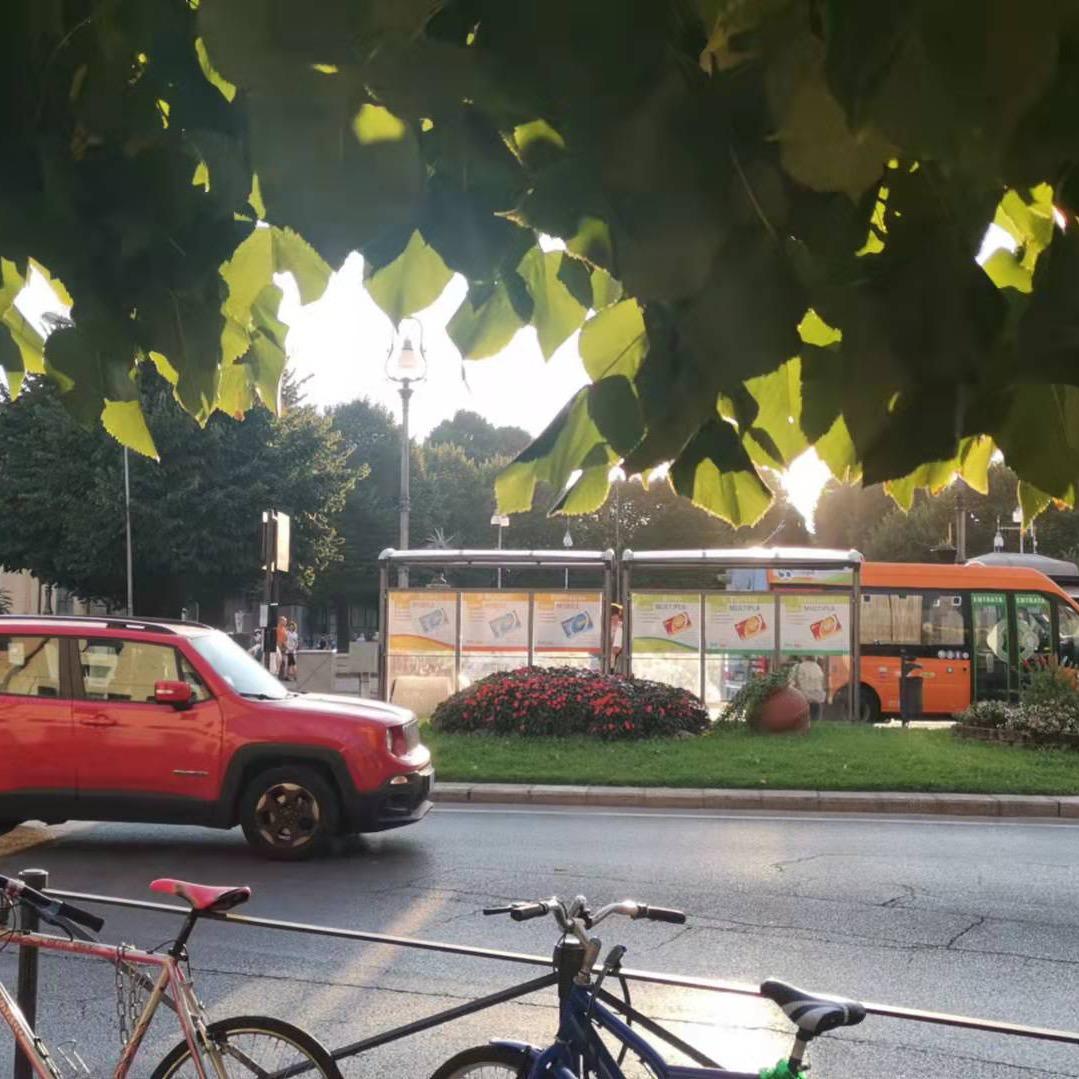 黄昏下的人字拖