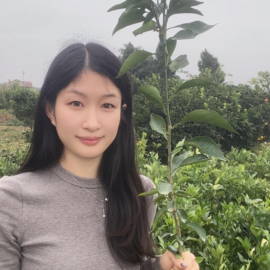 大杨（柑橘苗批发）