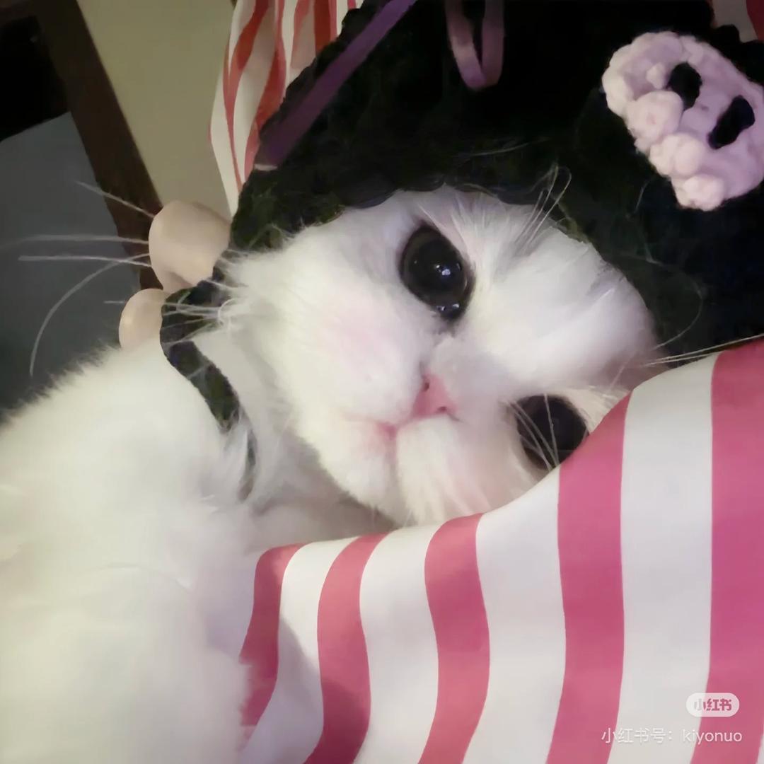想念🫧