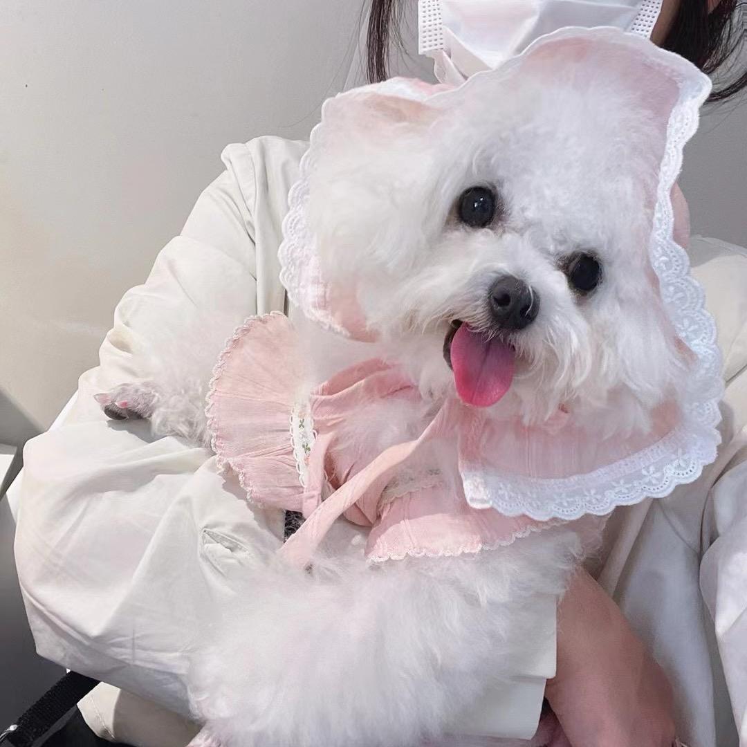 生姜不甜