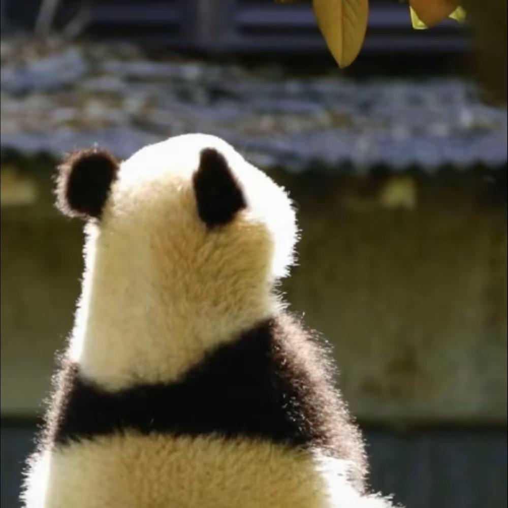 蜡笔小心心~