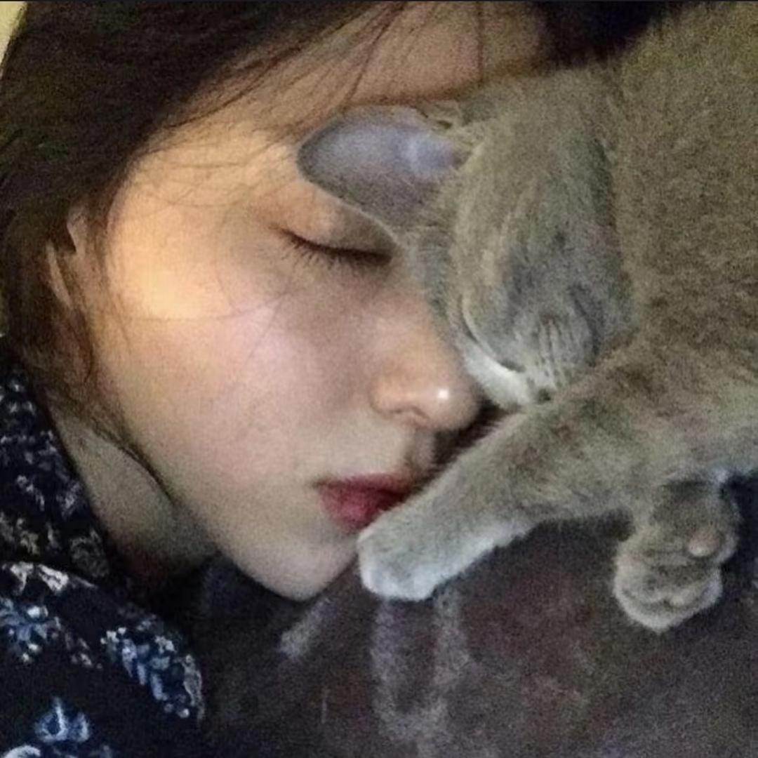 小猫₌᳐･֊･₌᳐ ੭