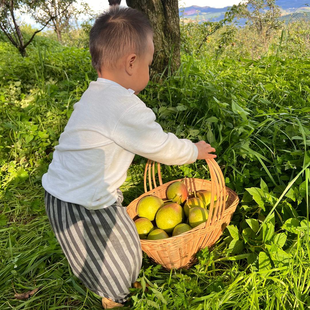 小璟序