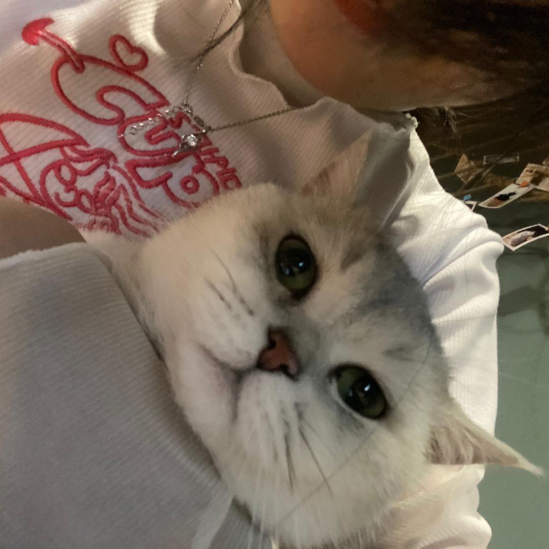 小佳o