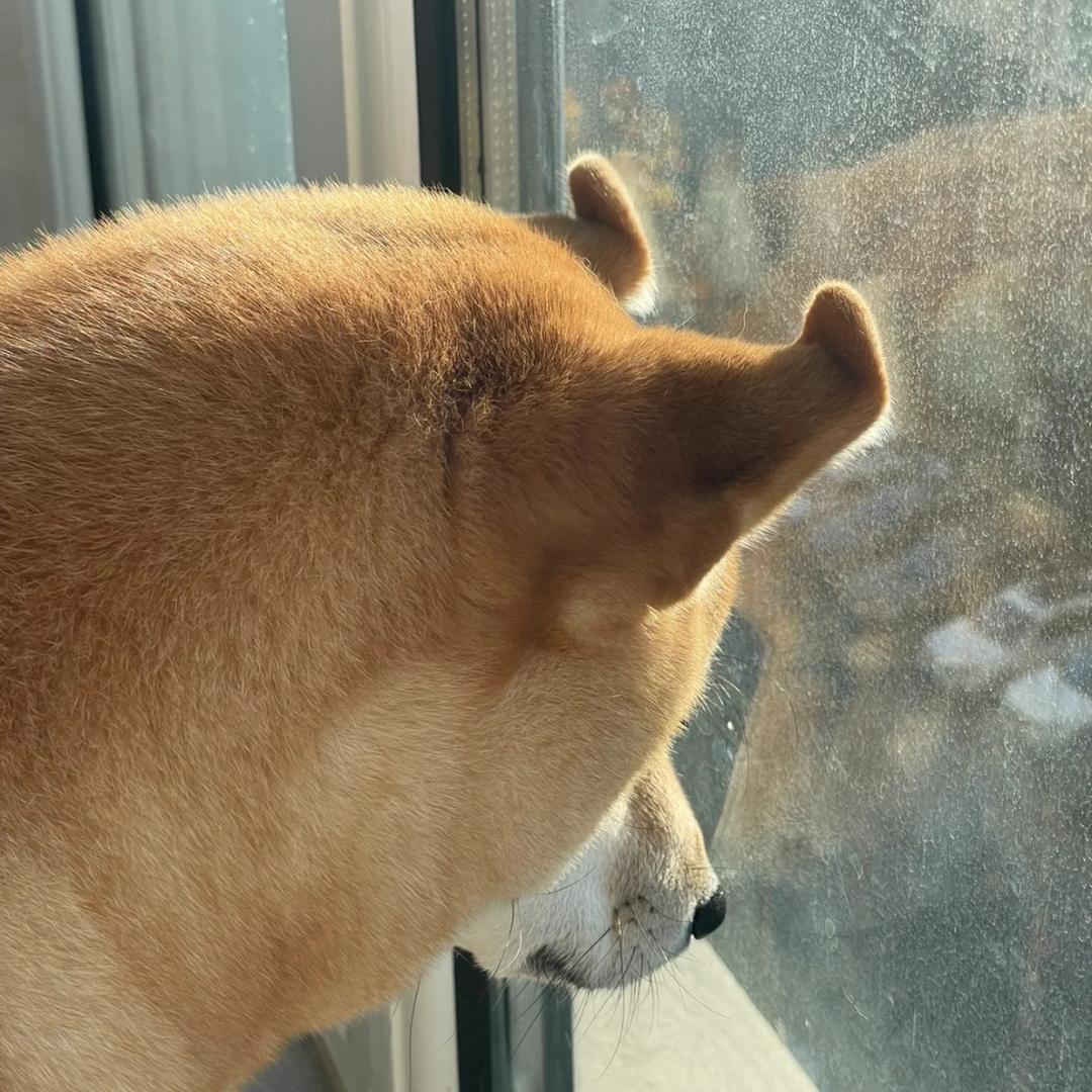 咬一口小熊软糖头像