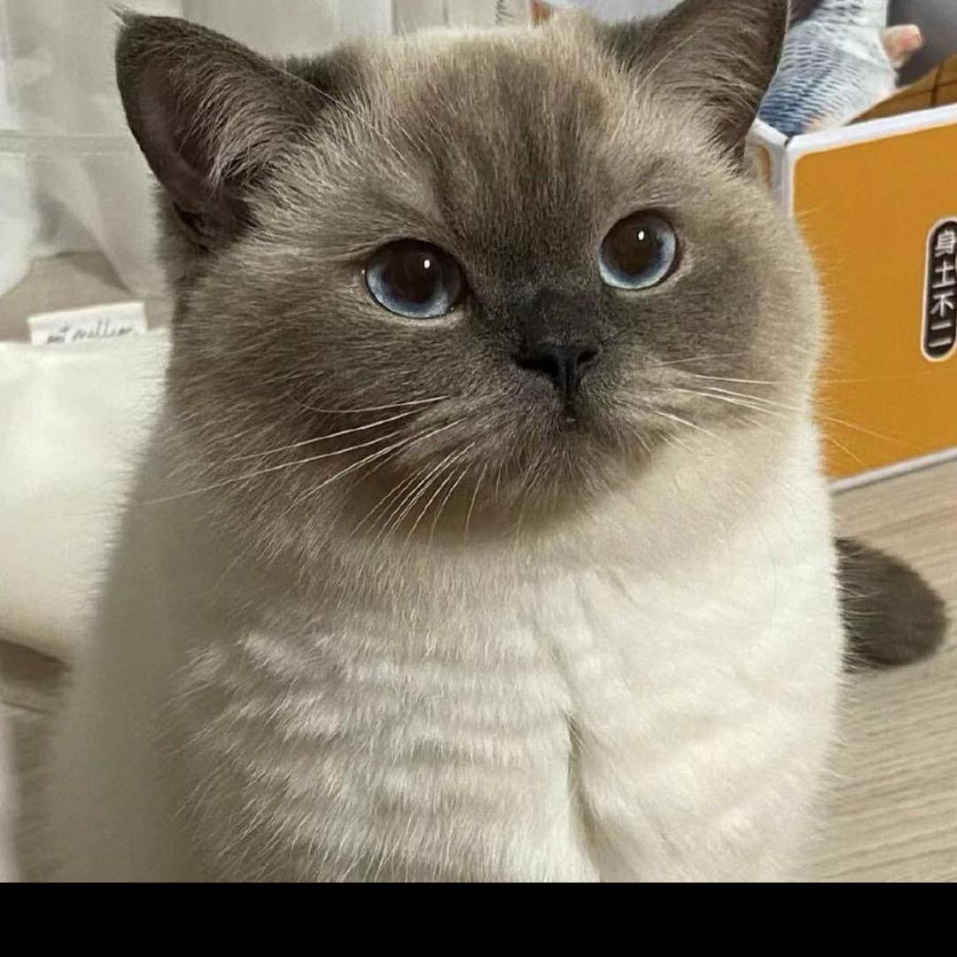小包包了包~