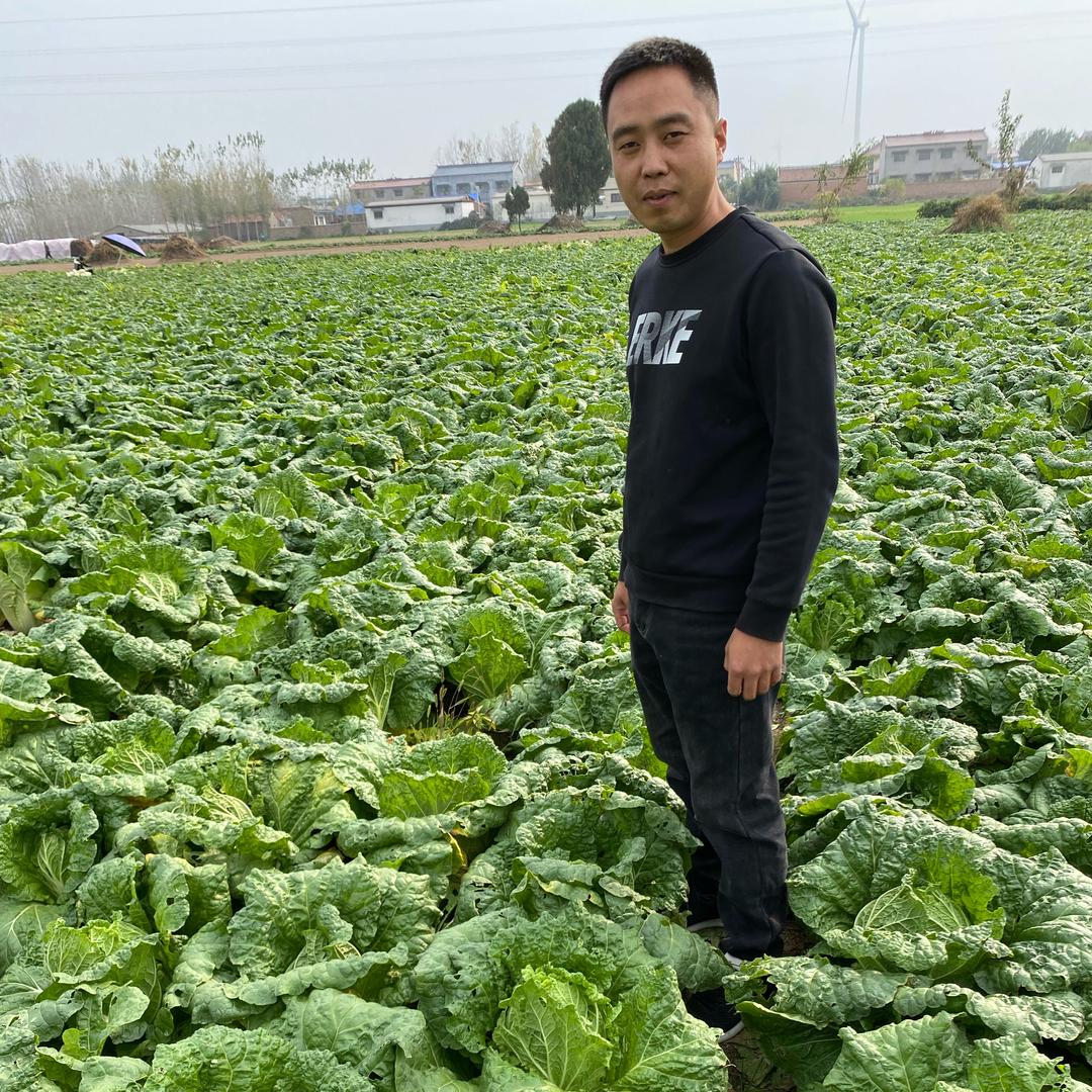 小张蔬菜农场