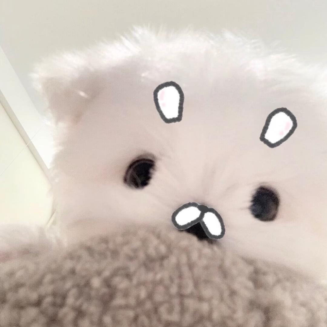 只能吃抹茶的苦。