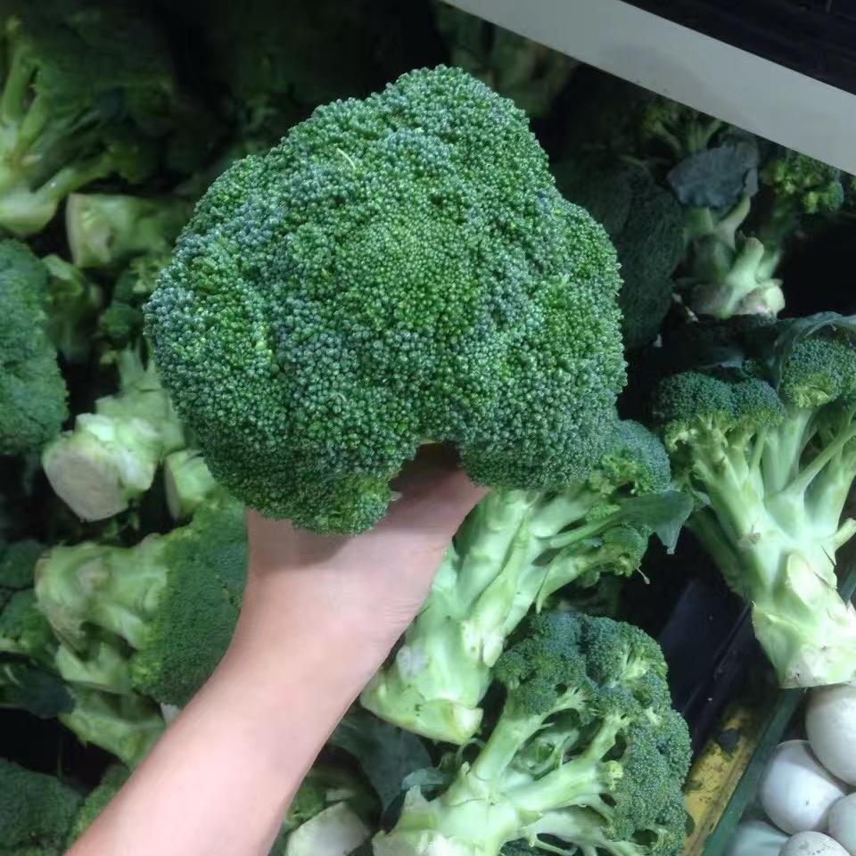 郁郁菜菜