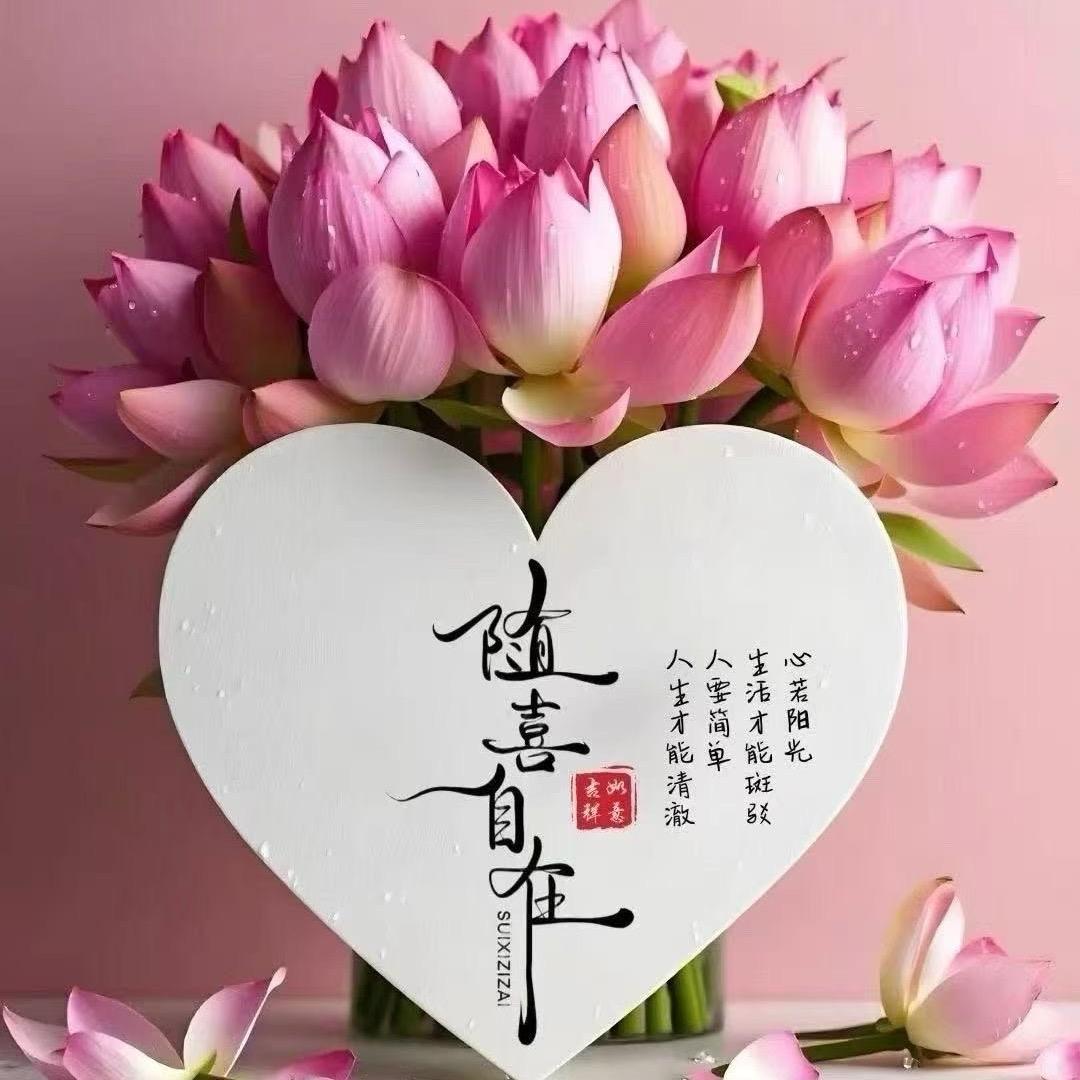 梓椤纺