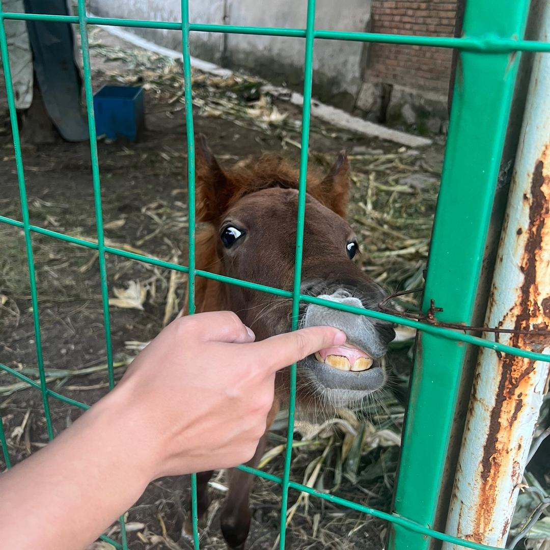 长矛蘸屎 戳谁谁死