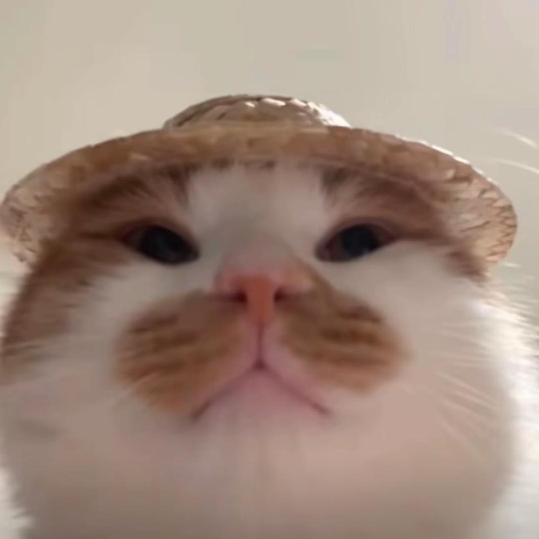 小萌萌