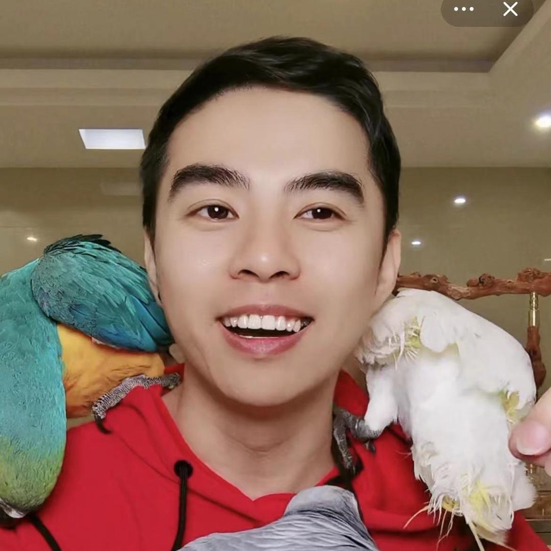 萌达鹦鹉