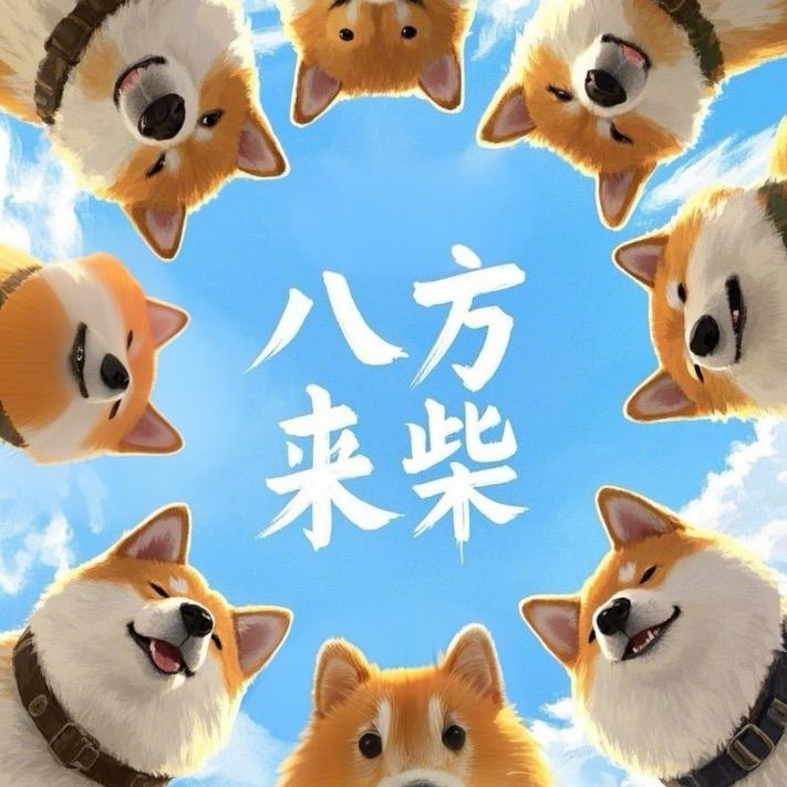 八方来财🐕