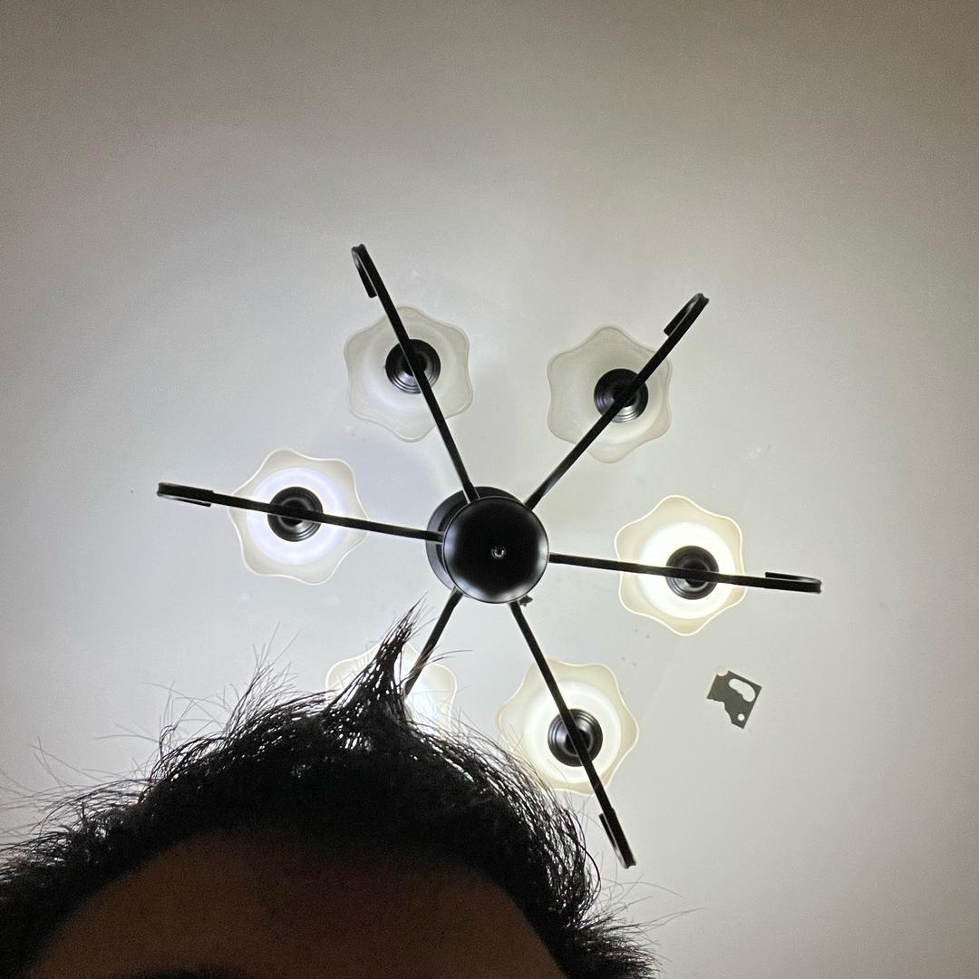 不知名的舒克